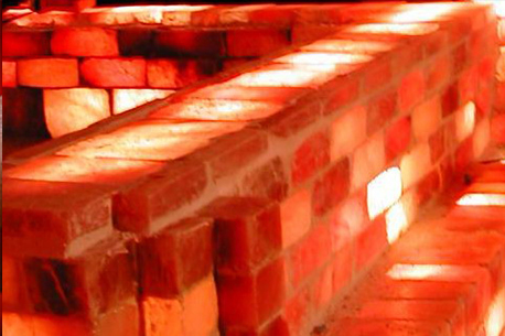 Salt bricks